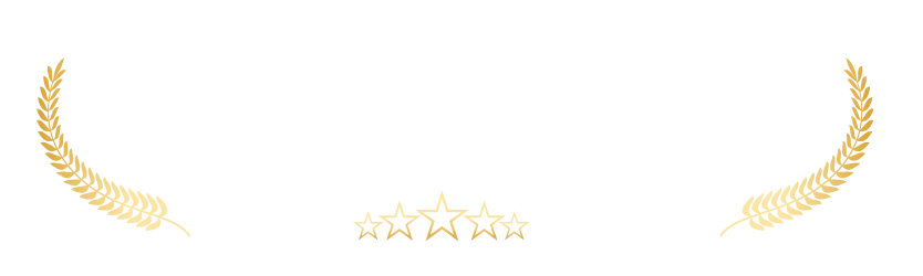Trusted Payments Partner — Payomatix award