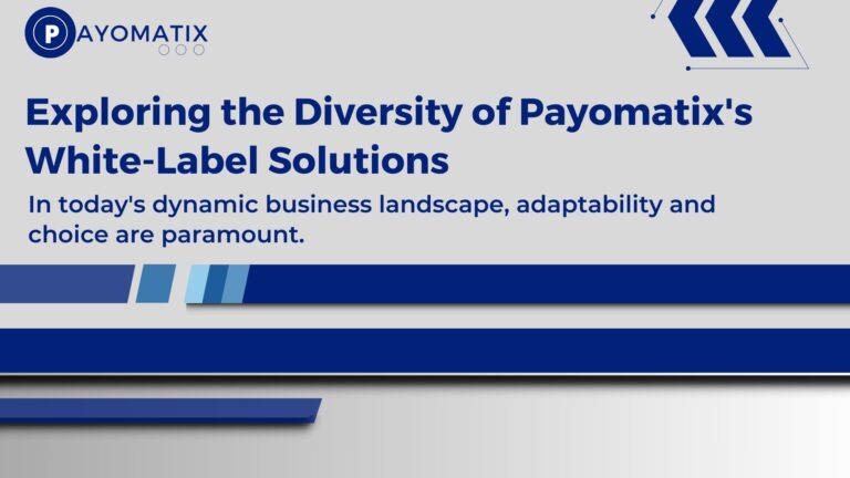 Exploring the Diversity of Payomatix’s White-Label Solutions