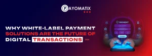 White label Payment Solutions
